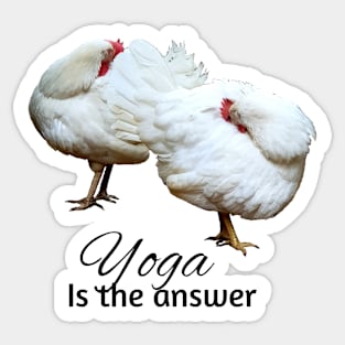 Hens doing yoga Sticker